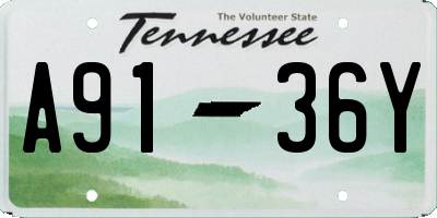 TN license plate A9136Y