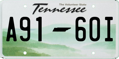 TN license plate A9160I