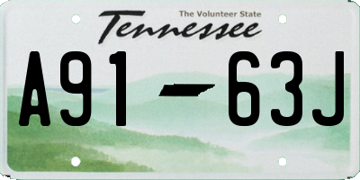 TN license plate A9163J