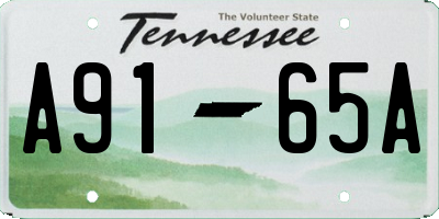 TN license plate A9165A