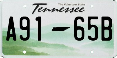 TN license plate A9165B