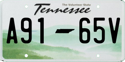 TN license plate A9165V