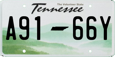 TN license plate A9166Y