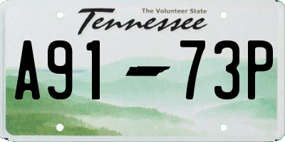 TN license plate A9173P