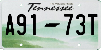 TN license plate A9173T