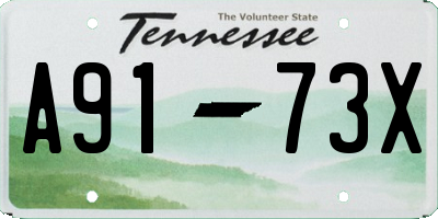 TN license plate A9173X