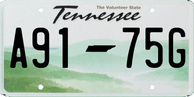 TN license plate A9175G