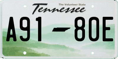 TN license plate A9180E