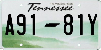 TN license plate A9181Y