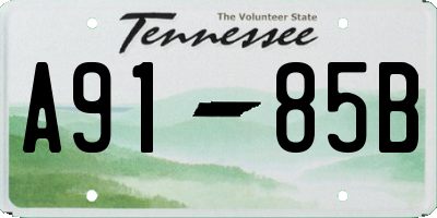TN license plate A9185B