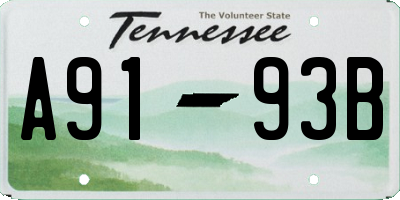 TN license plate A9193B