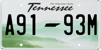 TN license plate A9193M