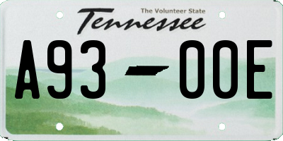 TN license plate A9300E