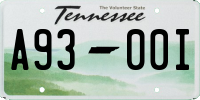 TN license plate A9300I