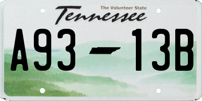 TN license plate A9313B