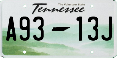 TN license plate A9313J