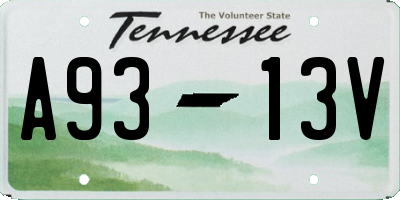TN license plate A9313V
