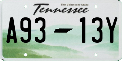 TN license plate A9313Y