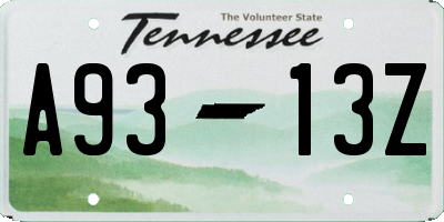 TN license plate A9313Z