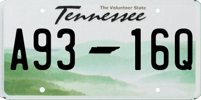 TN license plate A9316Q