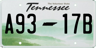 TN license plate A9317B