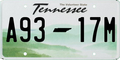 TN license plate A9317M