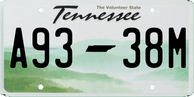TN license plate A9338M
