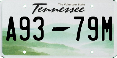 TN license plate A9379M