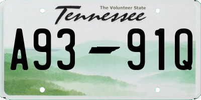 TN license plate A9391Q