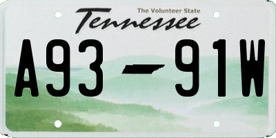 TN license plate A9391W