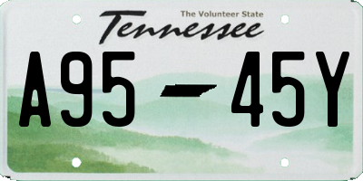 TN license plate A9545Y