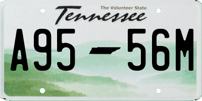TN license plate A9556M
