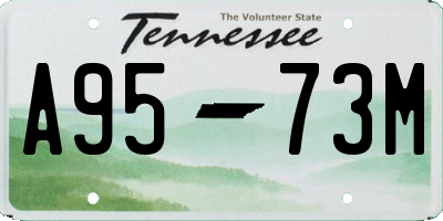 TN license plate A9573M