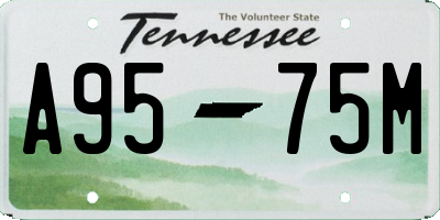 TN license plate A9575M