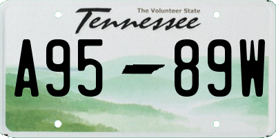 TN license plate A9589W