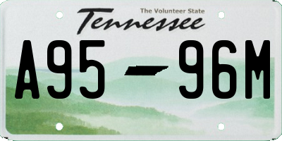 TN license plate A9596M