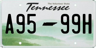 TN license plate A9599H