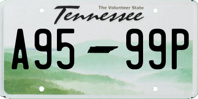 TN license plate A9599P