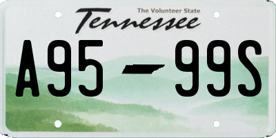TN license plate A9599S