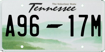 TN license plate A9617M