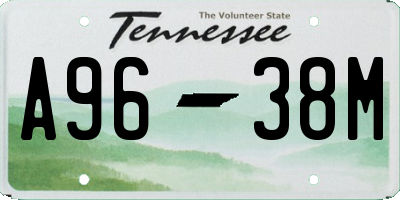TN license plate A9638M