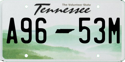 TN license plate A9653M