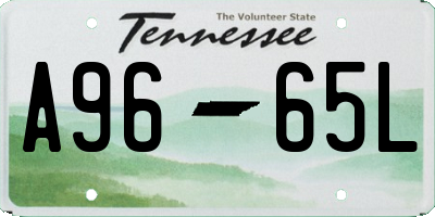 TN license plate A9665L