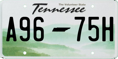 TN license plate A9675H