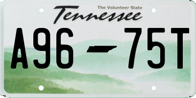 TN license plate A9675T