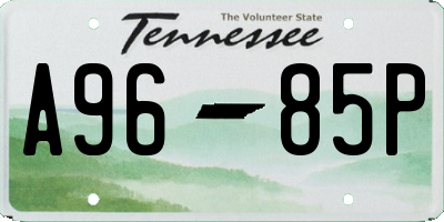 TN license plate A9685P