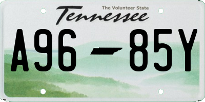 TN license plate A9685Y