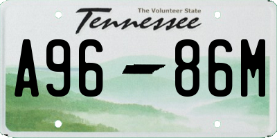 TN license plate A9686M