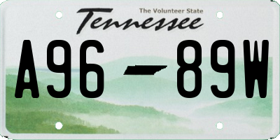TN license plate A9689W