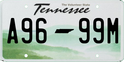 TN license plate A9699M